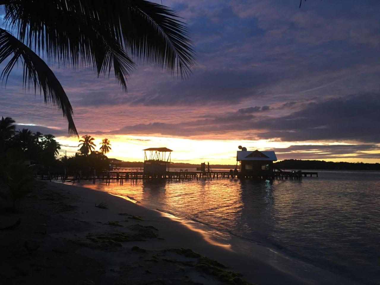 Dona Mara Gastro Hotel Bocas del Toro Eksteriør billede