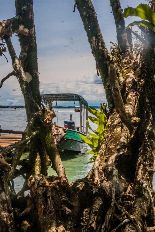 Dona Mara Gastro Hotel Bocas del Toro Eksteriør billede